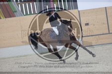 ref. photo 3410800