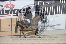 ref. photo 3410809