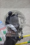 ref. photo 3410845