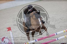 ref. photo 3410974