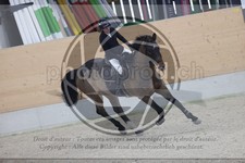 ref. photo 3410998