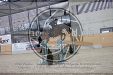 ref. photo 3411001