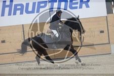 ref. photo 3411083