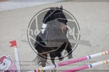 ref. photo 3411087