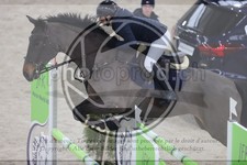 ref. photo 3411089