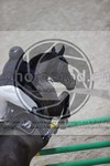 ref. photo 3411121