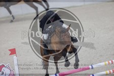 ref. photo 3411129