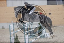 ref. photo 3411141
