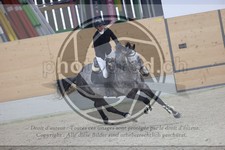 ref. photo 3411143