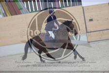 ref. photo 3411177