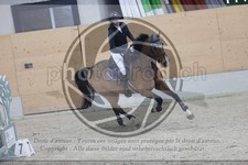 ref. photo 3411190
