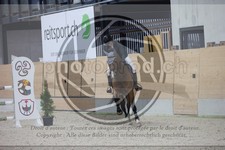ref. photo 3411196