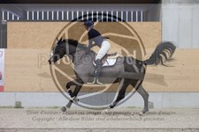 ref. photo 3411210