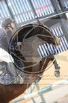 ref. photo 3411265