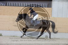 ref. photo 3411271