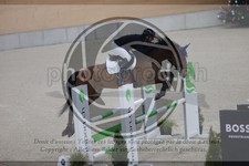 ref. photo 3411279