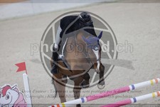ref. photo 3411280