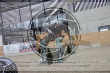 ref. photo 3411286