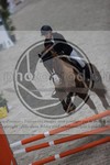 ref. photo 3411299