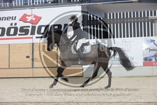 ref. photo 3411312
