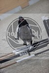 ref. photo 3411313