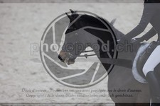 ref. photo 3411321