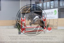 ref. photo 3411324