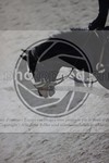 ref. photo 3411341