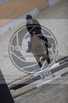 ref. photo 3411345