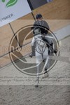 ref. photo 3411366