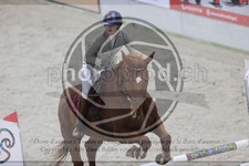 ref. photo 3411429
