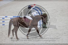 ref. photo 3411431