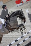 ref. photo 3411444
