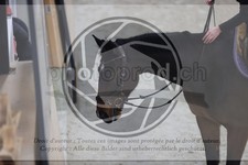 ref. photo 3411454