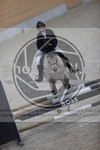 ref. photo 3411490