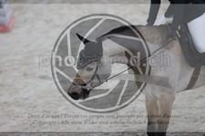 ref. photo 3411501