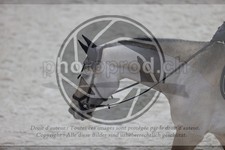 ref. photo 3411502