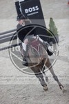 ref. photo 3411509