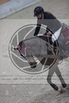 ref. photo 3411514