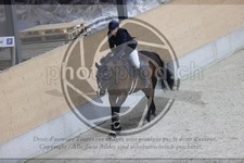 ref. photo 3411548