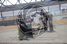 ref. photo 3411552