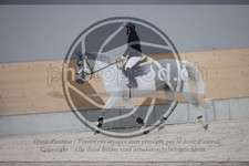 ref. photo 3411557