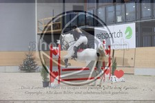 ref. photo 3411568