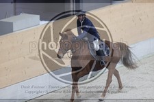 ref. photo 3411591