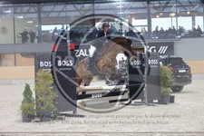 ref. photo 3411614