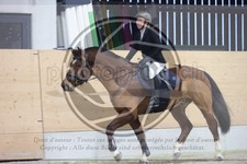 ref. photo 3411618
