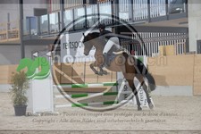 ref. photo 3411622