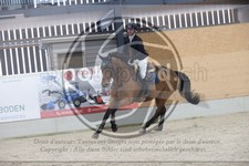 ref. photo 3411626