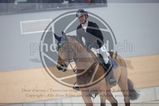 ref. photo 3411631