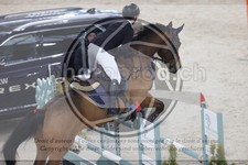 ref. photo 3411638